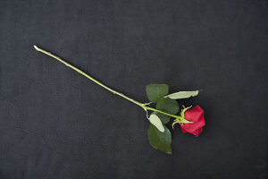 Suicidpreventionsdagen går att lyssna till live och i efterhand kan du lyssna här!