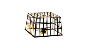 Uppochnedvänd Physalisask med en chokladpralin