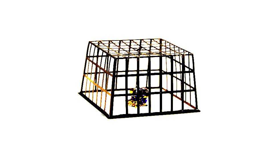 Uppochnedvänd Physalisask med en chokladpralin