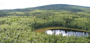 Här syns Ranesvare naturreservat i Jokkmokk/Gällivare. En skyddsvärd skog som bidrar med att dämpa klimatförändringarna.