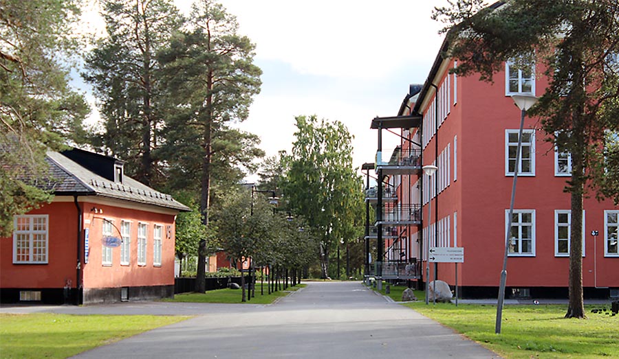 Umedalens sjukhusområde. Foto: Johanna Eriksson