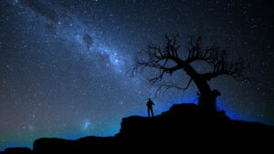 Man på en kulle under ett träd mot en mörkblå stjärnrik himmel. Foto: Vincent Chin, Unsplash