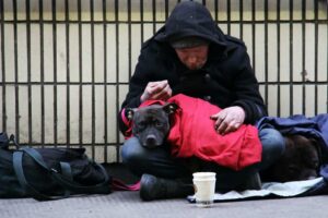 En mörkklädd man med nedböjt huvud som tigger. Framför honom står en mugg. I knät på mannen ligger en stor brun hund.