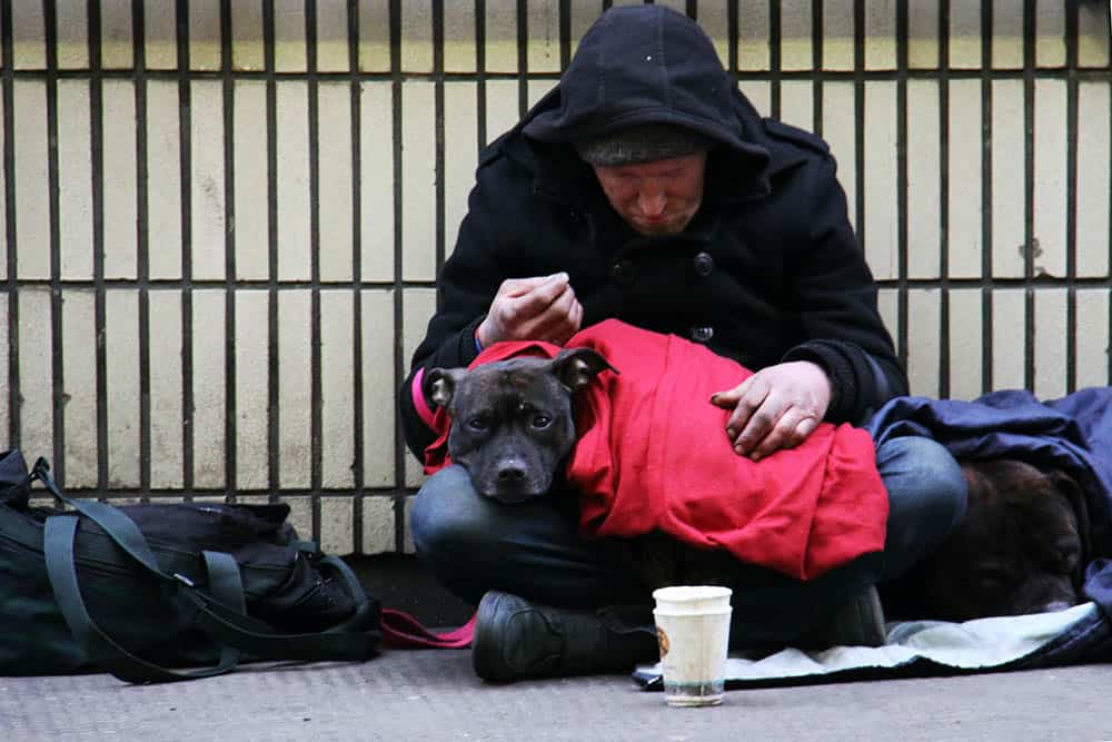 En mörkklädd man med nedböjt huvud som tigger. Framför honom står en mugg. I knät på mannen ligger en stor brun hund.