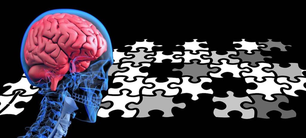 Ett blått kranium med röd hjärna. Till höger om denna ett vitt pussel som inte går ihop. Allt mot svart bakgrund.