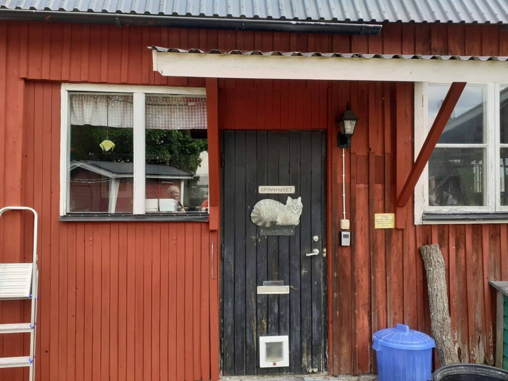 Bild utanför katthem på Gotland