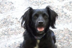 Foto Monica Atterberg