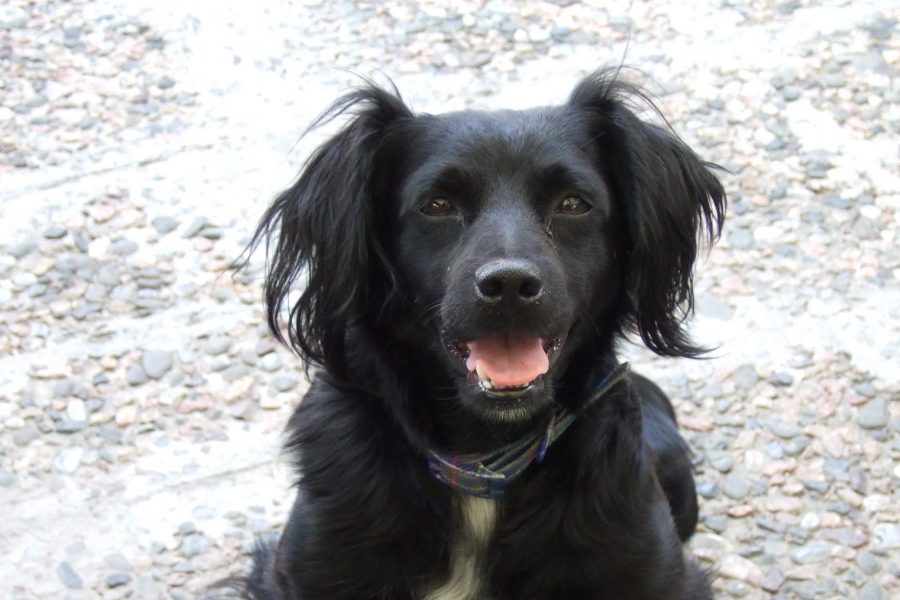 Foto Monica Atterberg