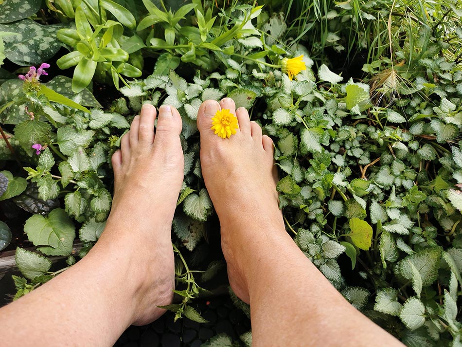 Ben i grönska. Foto: Johanna Eriksson