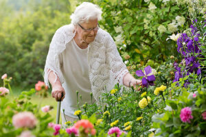 Gammal kvinna som doftar på blommor i en trädgård