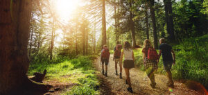 Fyra personer på vandring i skogsområde