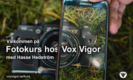 Välkommen på workshop/kurs med Vox Vigor