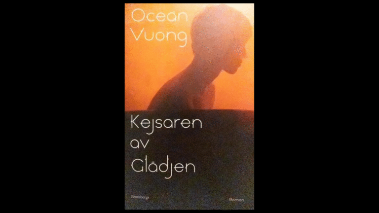 Bokomslag pojke i siluett