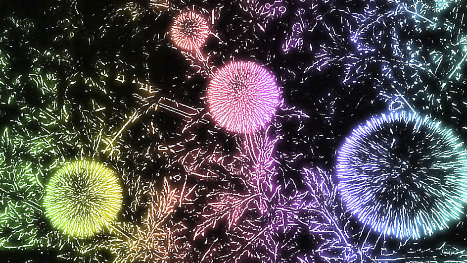 Fyrverkeri i olika färger. I själva verket bolltistlar. Foto: Monica Atterberg